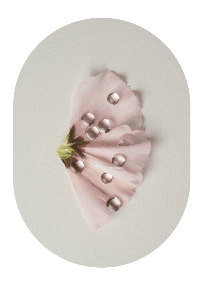 A pale pink flower petal with glass beads