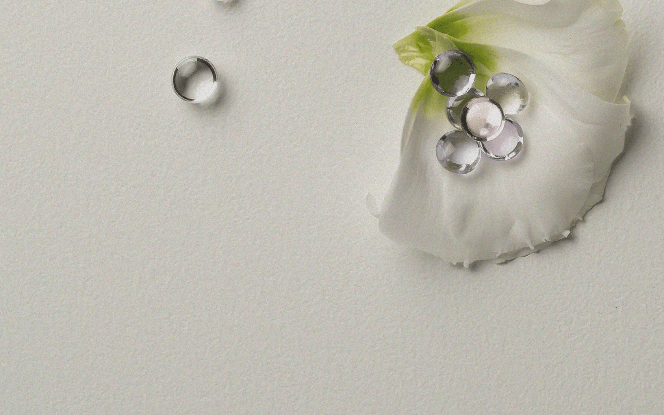 Selah Stones resting on a white flower petal, with a ring and loose gems nearby